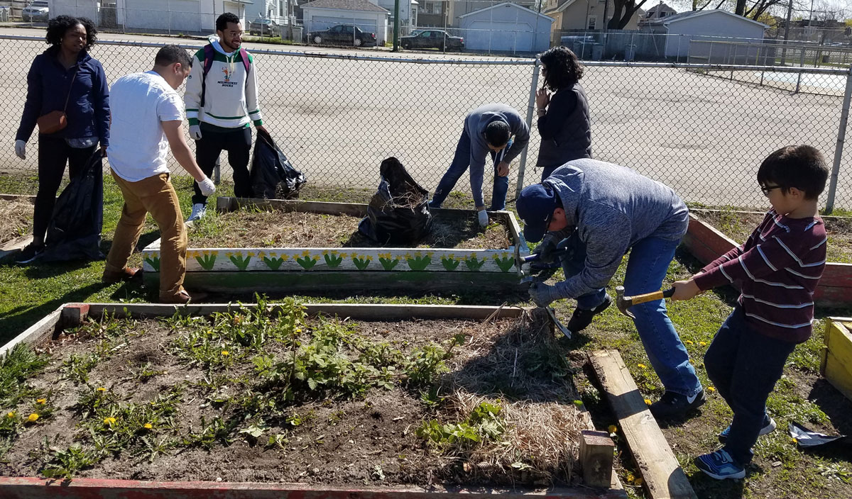 voluntarios trabajando en un jardín